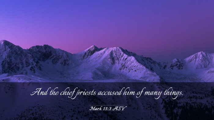 Picture 03 - Mark 15:3 ASV Desktop Wallpaper - And the chief priests accused him of many - Desktop Bible Verse Wallpaper