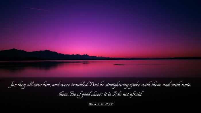 Picture 03 - Mark 6:50 ASV Desktop Wallpaper - for they all saw him, and were troubled. But he - Desktop Bible Verse Wallpaper