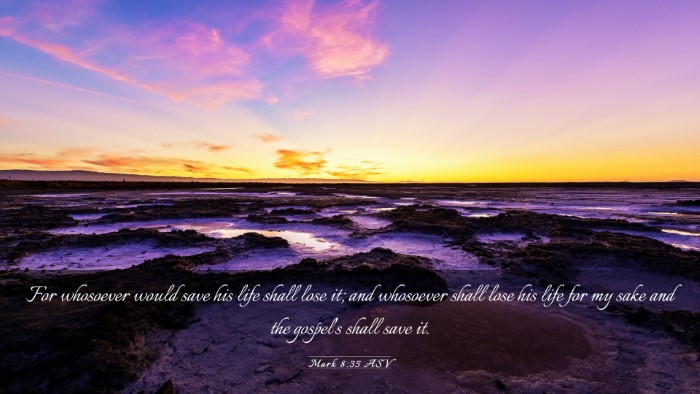 Picture 03 - Mark 8:35 ASV Desktop Wallpaper - For whosoever would save his life shall lose it; - Desktop Bible Verse Wallpaper