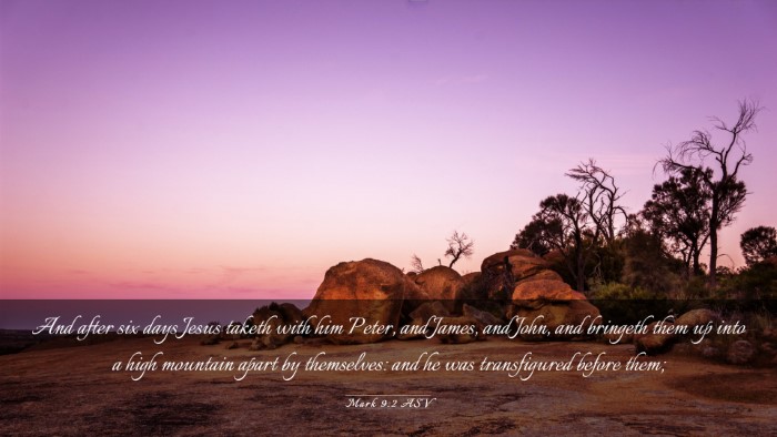 Picture 03 - Mark 9:2 ASV Desktop Wallpaper - And after six days Jesus taketh with him Peter, - Desktop Bible Verse Wallpaper