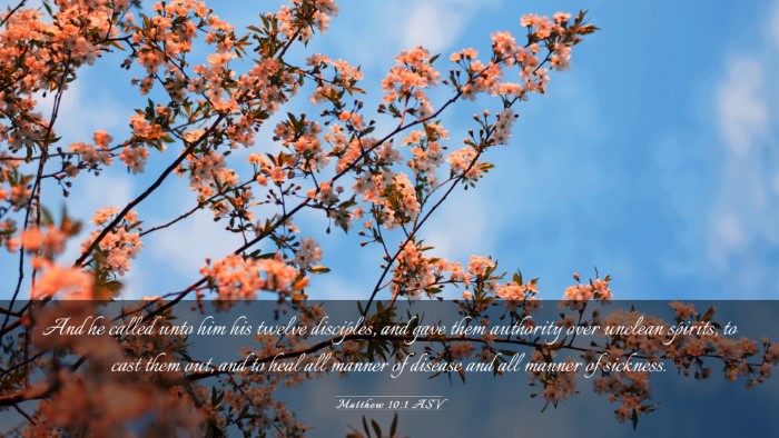 Picture 03 - Matthew 10:1 ASV Desktop Wallpaper - And he called unto him his twelve disciples, and - Desktop Bible Verse Wallpaper