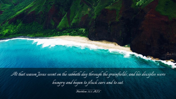 Picture 03 - Matthew 12:1 ASV Desktop Wallpaper - At that season Jesus went on the sabbath day - Desktop Bible Verse Wallpaper