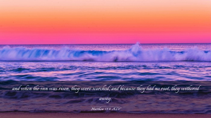 Picture 03 - Matthew 13:6 ASV Desktop Wallpaper - and when the sun was risen, they were scorched; - Desktop Bible Verse Wallpaper
