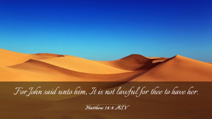 Picture 03 - Matthew 14:4 ASV Desktop Wallpaper - For John said unto him, It is not lawful for thee - Desktop Bible Verse Wallpaper