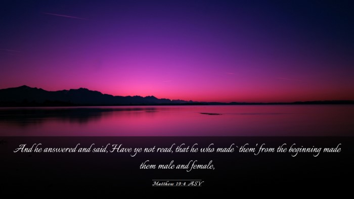 Picture 03 - Matthew 19:4 ASV Desktop Wallpaper - And he answered and said, Have ye not read, that - Desktop Bible Verse Wallpaper