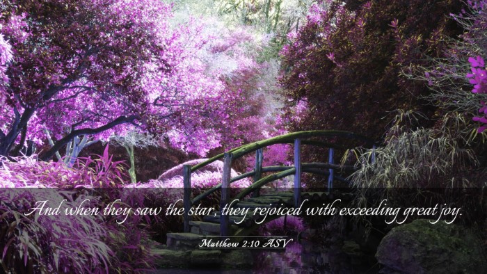 Picture 03 - Matthew 2:10 ASV Desktop Wallpaper - And when they saw the star, they rejoiced with - Desktop Bible Verse Wallpaper