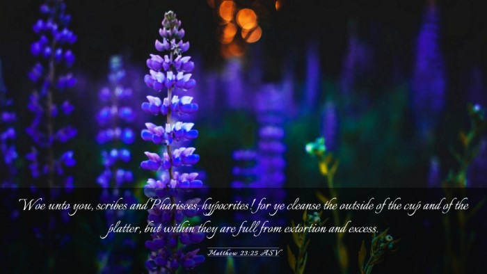 Picture 03 - Matthew 23:25 ASV Desktop Wallpaper - Woe unto you, scribes and Pharisees, hypocrites! - Desktop Bible Verse Wallpaper