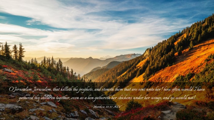 Picture 03 - Matthew 23:37 ASV Desktop Wallpaper - O Jerusalem, Jerusalem, that killeth the - Desktop Bible Verse Wallpaper