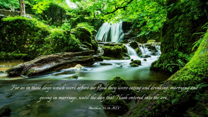 Picture 03 - Matthew 24:38 ASV Desktop Wallpaper - For as in those days which were before the flood - Desktop Bible Verse Wallpaper