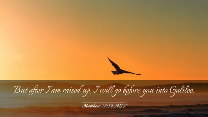 Picture 03 - Matthew 26:32 ASV Desktop Wallpaper - But after I am raised up, I will go before you - Desktop Bible Verse Wallpaper