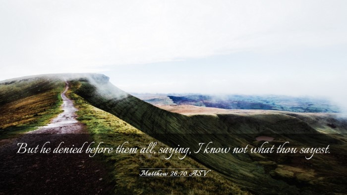 Picture 03 - Matthew 26:70 ASV Desktop Wallpaper - But he denied before them all, saying, I know not - Desktop Bible Verse Wallpaper