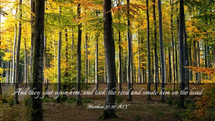 Picture 03 - Matthew 27:30 ASV Desktop Wallpaper - And they spat upon him, and took the reed and - Desktop Bible Verse Wallpaper