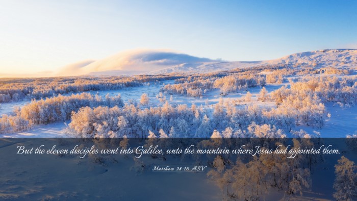 Picture 03 - Matthew 28:16 ASV Desktop Wallpaper - But the eleven disciples went into Galilee, unto - Desktop Bible Verse Wallpaper