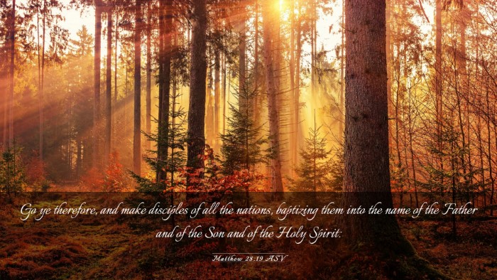 Picture 03 - Matthew 28:19 ASV Desktop Wallpaper - Go ye therefore, and make disciples of all the - Desktop Bible Verse Wallpaper