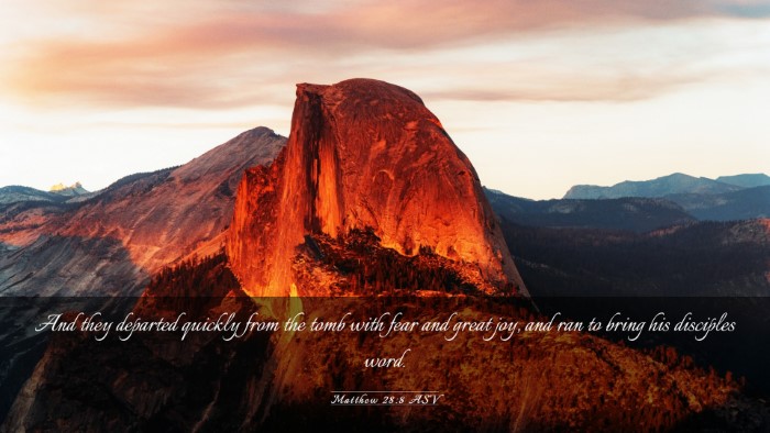 Picture 03 - Matthew 28:8 ASV Desktop Wallpaper - And they departed quickly from the tomb with fear - Desktop Bible Verse Wallpaper