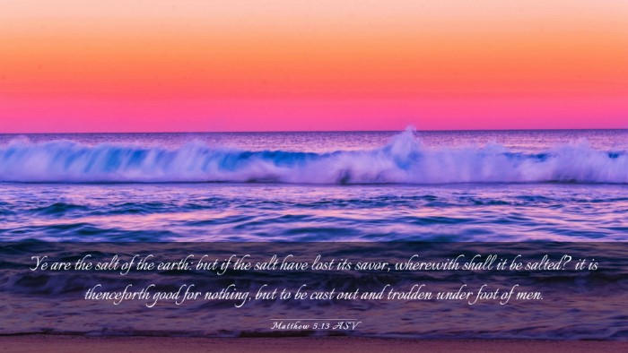 Picture 03 - Matthew 5:13 ASV Desktop Wallpaper - Ye are the salt of the earth: but if the salt - Desktop Bible Verse Wallpaper