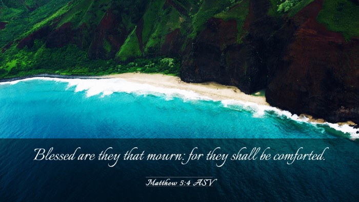 Picture 03 - Matthew 5:4 ASV Desktop Wallpaper - Blessed are they that mourn: for they shall be - Desktop Bible Verse Wallpaper