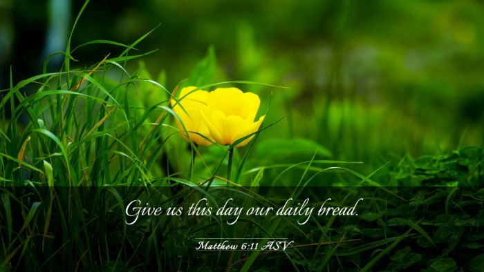 Picture 03 - Matthew 6:11 ASV Desktop Wallpaper - Give us this day our daily - Desktop Bible Verse Wallpaper