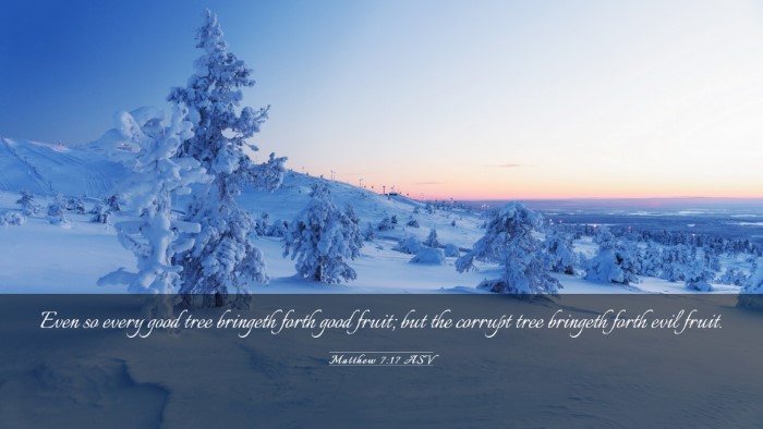 Picture 03 - Matthew 7:17 ASV Desktop Wallpaper - Even so every good tree bringeth forth good - Desktop Bible Verse Wallpaper