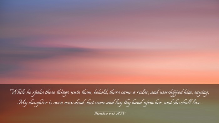 Picture 03 - Matthew 9:18 ASV Desktop Wallpaper - While he spake these things unto them, behold, - Desktop Bible Verse Wallpaper