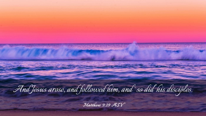 Picture 03 - Matthew 9:19 ASV Desktop Wallpaper - And Jesus arose, and followed him, and `so did' - Desktop Bible Verse Wallpaper