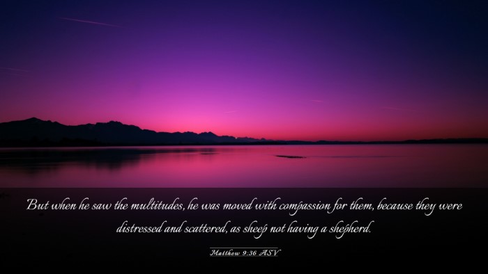 Picture 03 - Matthew 9:36 ASV Desktop Wallpaper - But when he saw the multitudes, he was moved with - Desktop Bible Verse Wallpaper