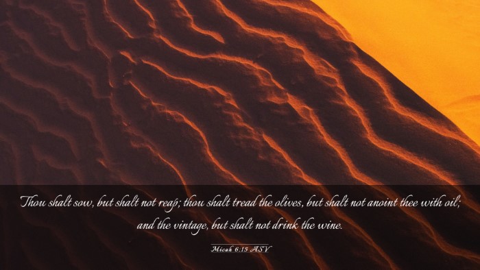 Picture 03 - Micah 6:15 ASV Desktop Wallpaper - Thou shalt sow, but shalt not reap; thou shalt - Desktop Bible Verse Wallpaper