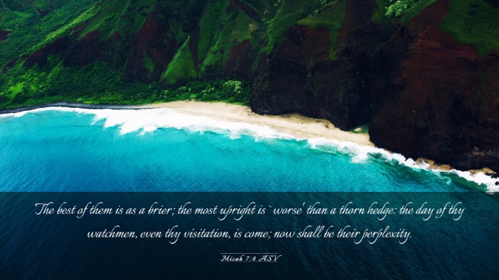 Picture 03 - Micah 7:4 ASV Desktop Wallpaper - The best of them is as a brier; the most upright - Desktop Bible Verse Wallpaper
