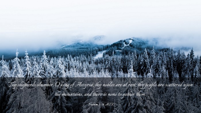 Picture 03 - Nahum 3:18 ASV Desktop Wallpaper - Thy shepherds slumber, O king of Assyria; thy - Desktop Bible Verse Wallpaper