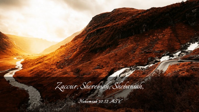 Picture 03 - Nehemiah 10:12 ASV Desktop Wallpaper - Zaccur, Sherebiah, - Desktop Bible Verse Wallpaper