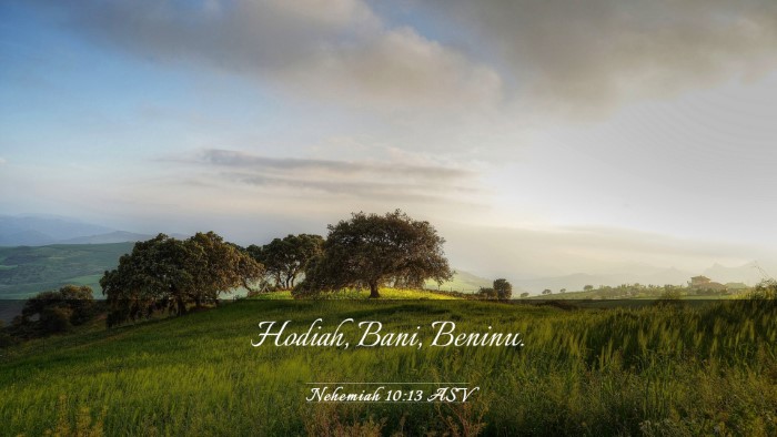 Picture 03 - Nehemiah 10:13 ASV Desktop Wallpaper - Hodiah, Bani, - Desktop Bible Verse Wallpaper