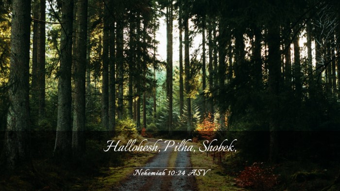 Picture 03 - Nehemiah 10:24 ASV Desktop Wallpaper - Hallohesh, Pilha, - Desktop Bible Verse Wallpaper