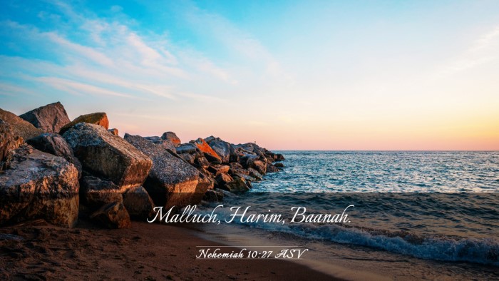 Picture 03 - Nehemiah 10:27 ASV Desktop Wallpaper - Malluch, Harim, - Desktop Bible Verse Wallpaper