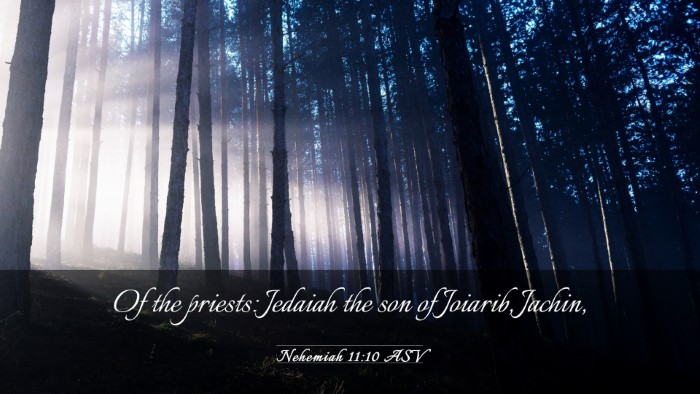 Picture 03 - Nehemiah 11:10 ASV Desktop Wallpaper - Of the priests: Jedaiah the son of Joiarib, - Desktop Bible Verse Wallpaper