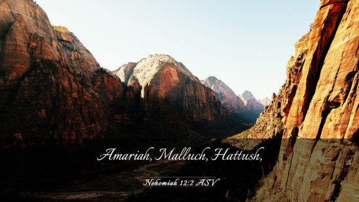 Picture 03 - Nehemiah 12:2 ASV Desktop Wallpaper - Amariah, Malluch, - Desktop Bible Verse Wallpaper