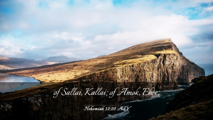 Picture 03 - Nehemiah 12:20 ASV Desktop Wallpaper - of Sallai, Kallai; of Amok, - Desktop Bible Verse Wallpaper