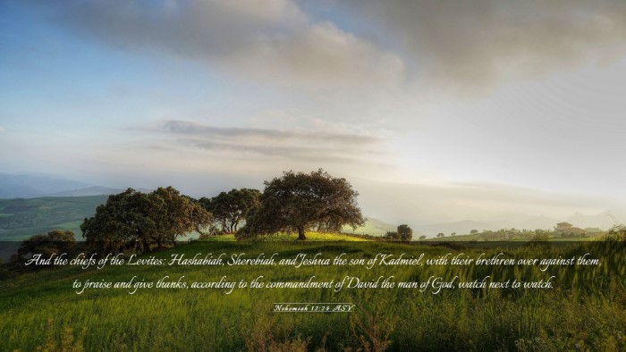 Picture 03 - Nehemiah 12:24 ASV Desktop Wallpaper - And the chiefs of the Levites: Hashabiah, - Desktop Bible Verse Wallpaper