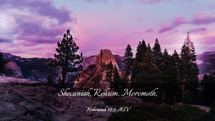Picture 03 - Nehemiah 12:3 ASV Desktop Wallpaper - Shecaniah, Rehum, - Desktop Bible Verse Wallpaper