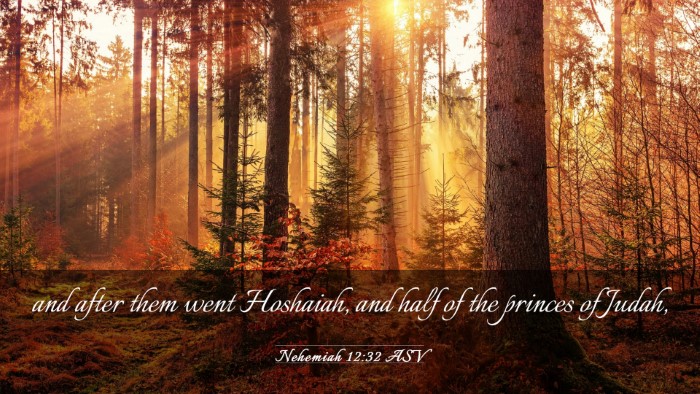 Picture 03 - Nehemiah 12:32 ASV Desktop Wallpaper - and after them went Hoshaiah, and half of the - Desktop Bible Verse Wallpaper