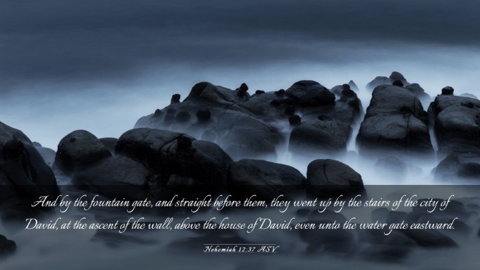 Picture 03 - Nehemiah 12:37 ASV Desktop Wallpaper - And by the fountain gate, and straight before - Desktop Bible Verse Wallpaper