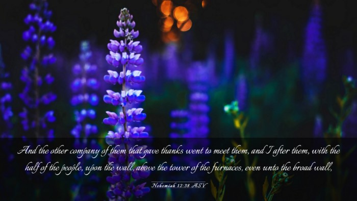 Picture 03 - Nehemiah 12:38 ASV Desktop Wallpaper - And the other company of them that gave thanks - Desktop Bible Verse Wallpaper