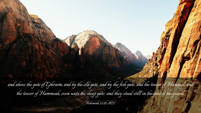 Picture 03 - Nehemiah 12:39 ASV Desktop Wallpaper - and above the gate of Ephraim, and by the old - Desktop Bible Verse Wallpaper