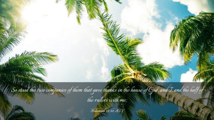 Picture 03 - Nehemiah 12:40 ASV Desktop Wallpaper - So stood the two companies of them that gave - Desktop Bible Verse Wallpaper