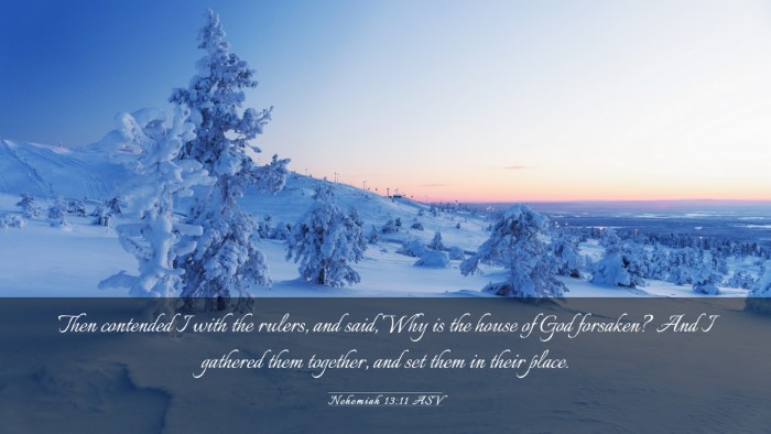Picture 03 - Nehemiah 13:11 ASV Desktop Wallpaper - Then contended I with the rulers, and said, Why - Desktop Bible Verse Wallpaper