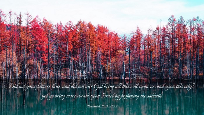 Picture 03 - Nehemiah 13:18 ASV Desktop Wallpaper - Did not your fathers thus, and did not our God - Desktop Bible Verse Wallpaper