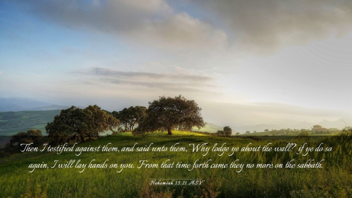 Picture 03 - Nehemiah 13:21 ASV Desktop Wallpaper - Then I testified against them, and said unto - Desktop Bible Verse Wallpaper