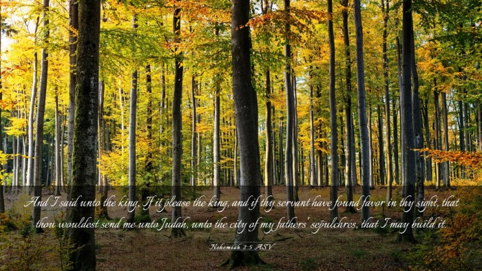 Picture 03 - Nehemiah 2:5 ASV Desktop Wallpaper - And I said unto the king, If it please the king, - Desktop Bible Verse Wallpaper