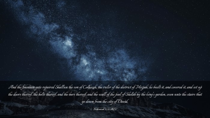 Picture 03 - Nehemiah 3:15 ASV Desktop Wallpaper - And the fountain gate repaired Shallun the son of - Desktop Bible Verse Wallpaper