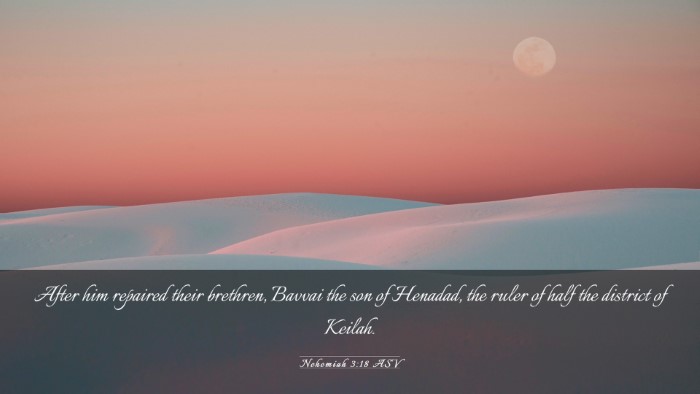 Picture 03 - Nehemiah 3:18 ASV Desktop Wallpaper - After him repaired their brethren, Bavvai the son - Desktop Bible Verse Wallpaper