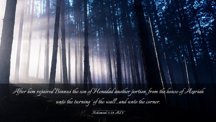 Picture 03 - Nehemiah 3:24 ASV Desktop Wallpaper - After him repaired Binnui the son of Henadad - Desktop Bible Verse Wallpaper
